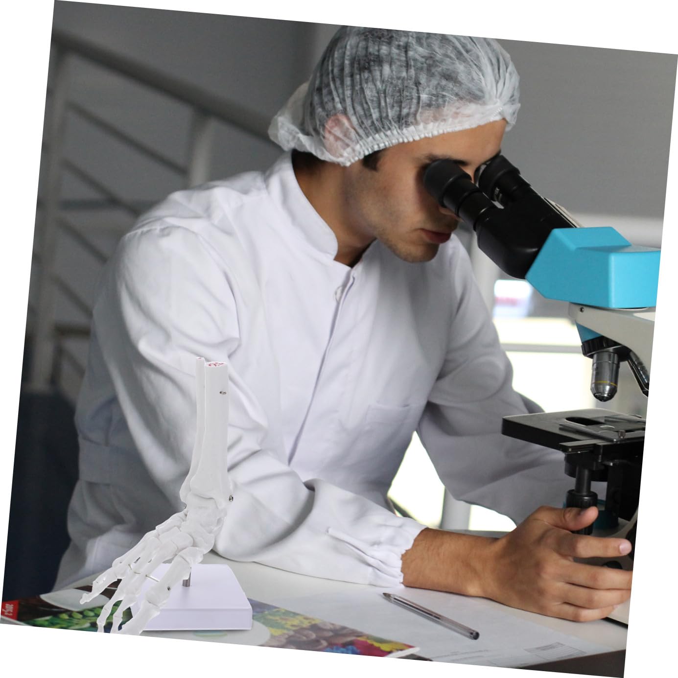 Cabilock Modelo de Tobillo Anatómico de Plástico Articulación Natural Esqueleto de Hueso para Estudio Médico Aula o Laboratorio