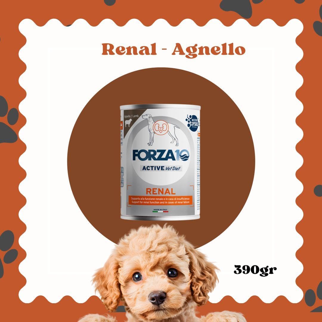 Forza 10 Umido Cane RENAL, alimento completo dietetico per cani adulti di tutte le taglie e razze con disturbi renali gusto PESCE e AGNELLO, for dogs, renal | 6 scatolette da 390 grammi l'una.