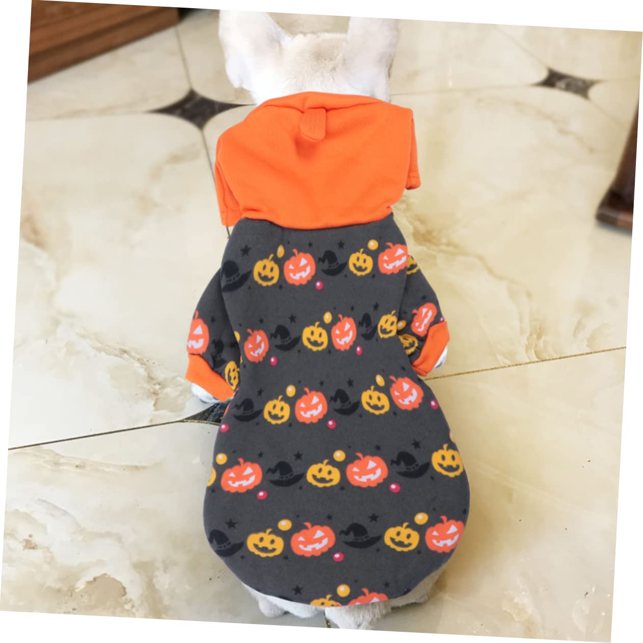 HMJGDHX 2 Pezzi Cappotto per Abbigliamento per Costumi per Animali Domestici per Halloween Cosplay Vestiti di Zucca per Cani Orecchie per Cani per Giacca per Cuccioli