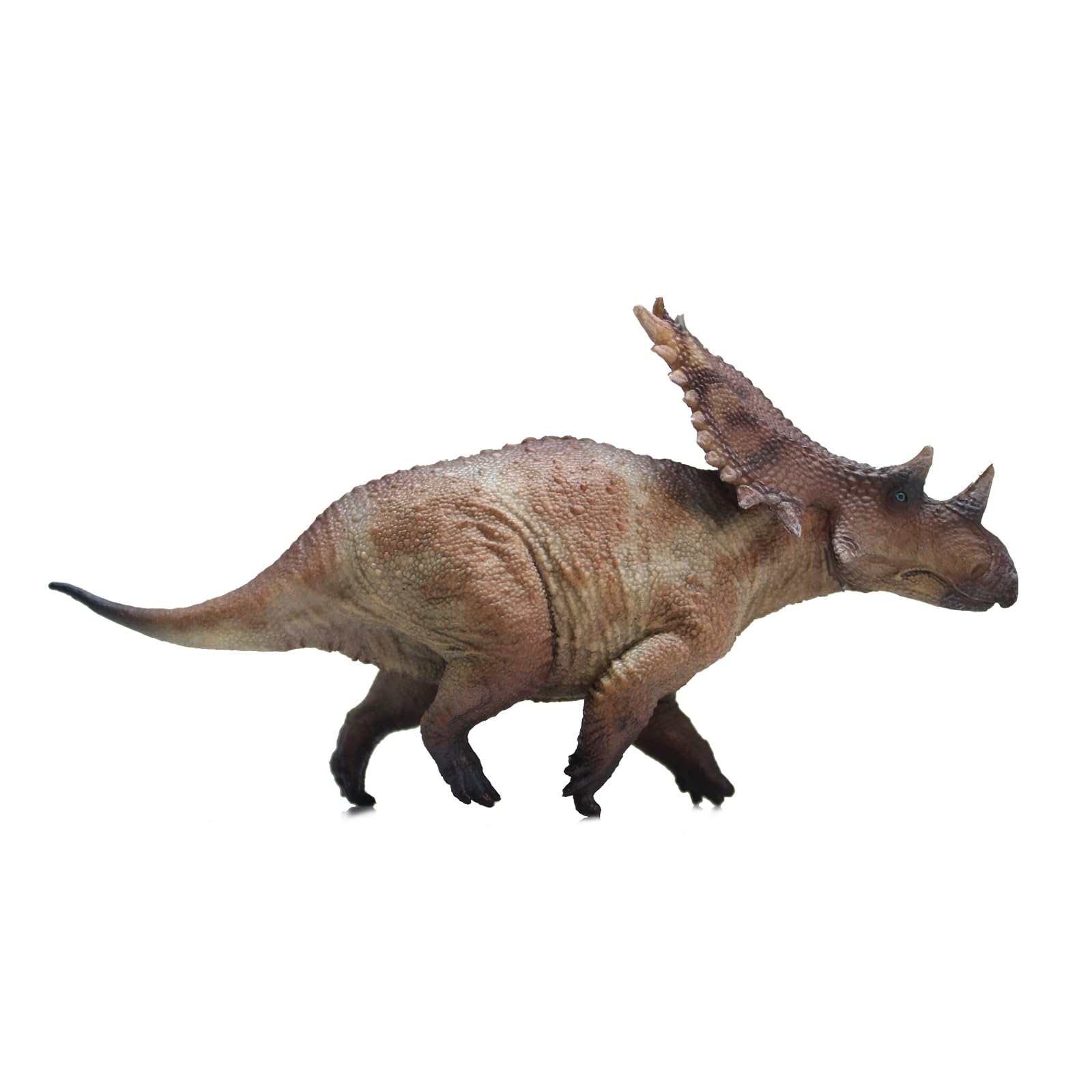 Amazon.com: HAOLONGGOOD New Chasmosaurus 1：35 Science and Art