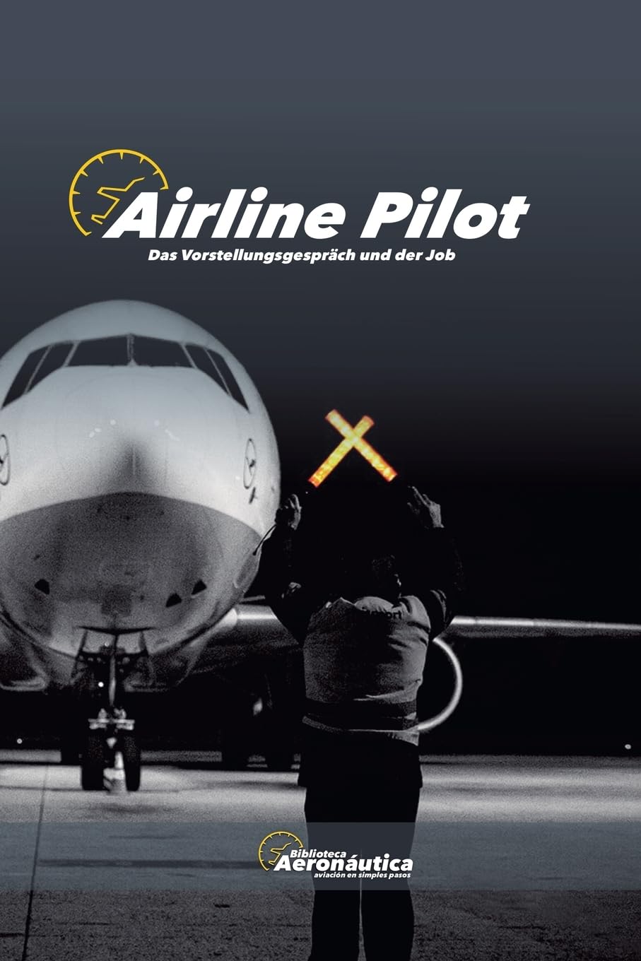 Airline Pilot. Das Vorstellungsgespräch und der Job (Airbus A320)