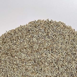 FESTUCA ARUNDINACEA | Alfombra Césped | El campesino (5 Kg)