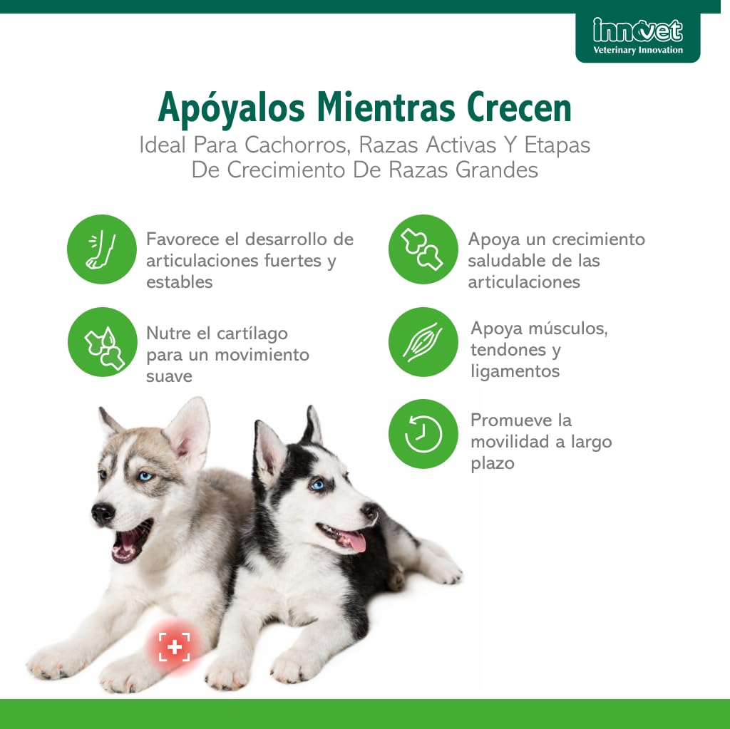 Innovet Condrogen Puppy Condroprotector Perros Cachorros 60 Comprimidos | Articulaciones Fuertes Durante el Crecimiento con Glucosamina Condroitina – Nutre el Cartílago Para Razas Grandes y Gigantes