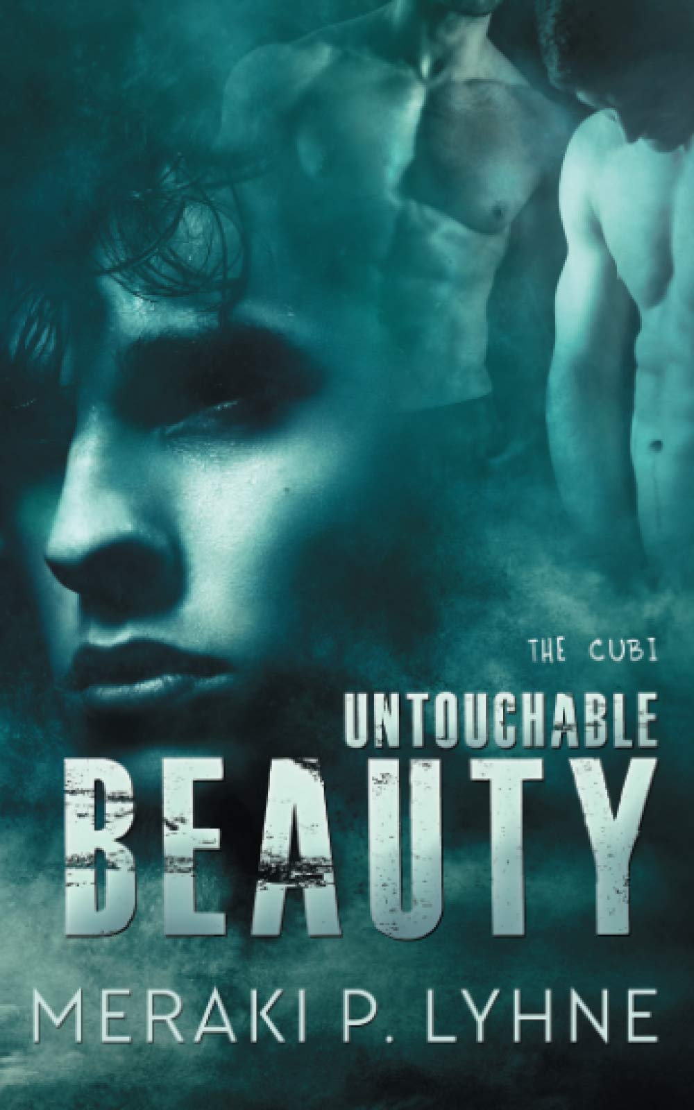 Untouchable Beauty: Volume 1 (The Cubi)