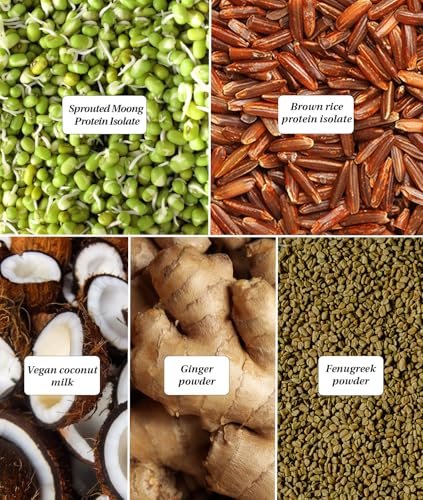 Image of It's Moong Mung Bean & Brown Rice Isolate Plant Protein Powder for Men & Women| 24gms per serve 4.7gms BCAA| Unflavoured| 500 gms |Sprouted Plant based protein| All essential Amino Acids|Plant Protein