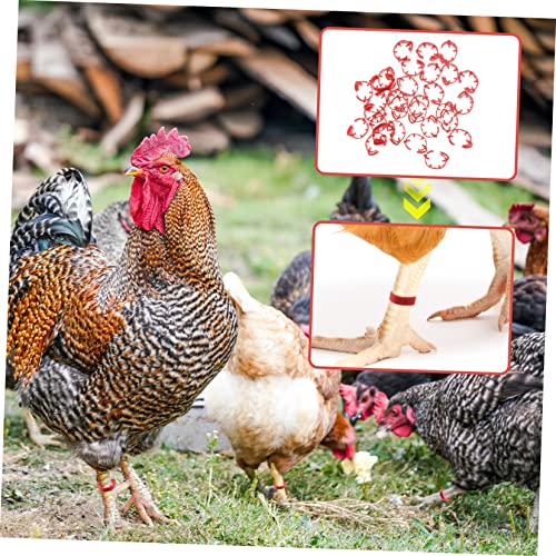 VILLFUL 100 Pçs Digital Tornozeleira Anéis De Identificação De Aves De Capoeira Anéis De Perna De Po