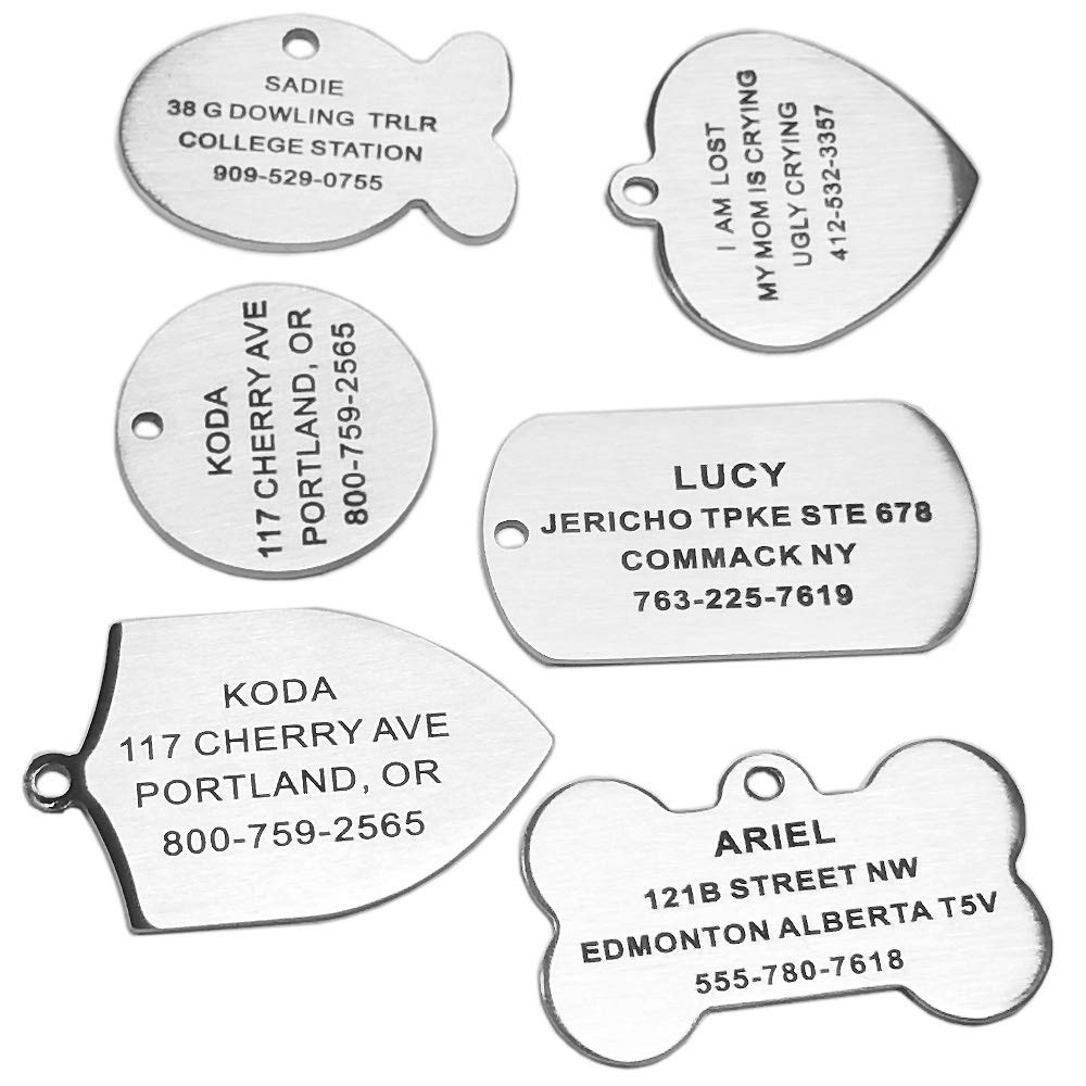 Stainless Steel Pet ID Tags, Engraved Personalized Dog Tags and Cat Tags, Tags Front & Back up to 8 Lines of Custom Text, in Bone, Round, Heart, Fish, Ranger Badge, Rectangle… (Rectangle, Large)