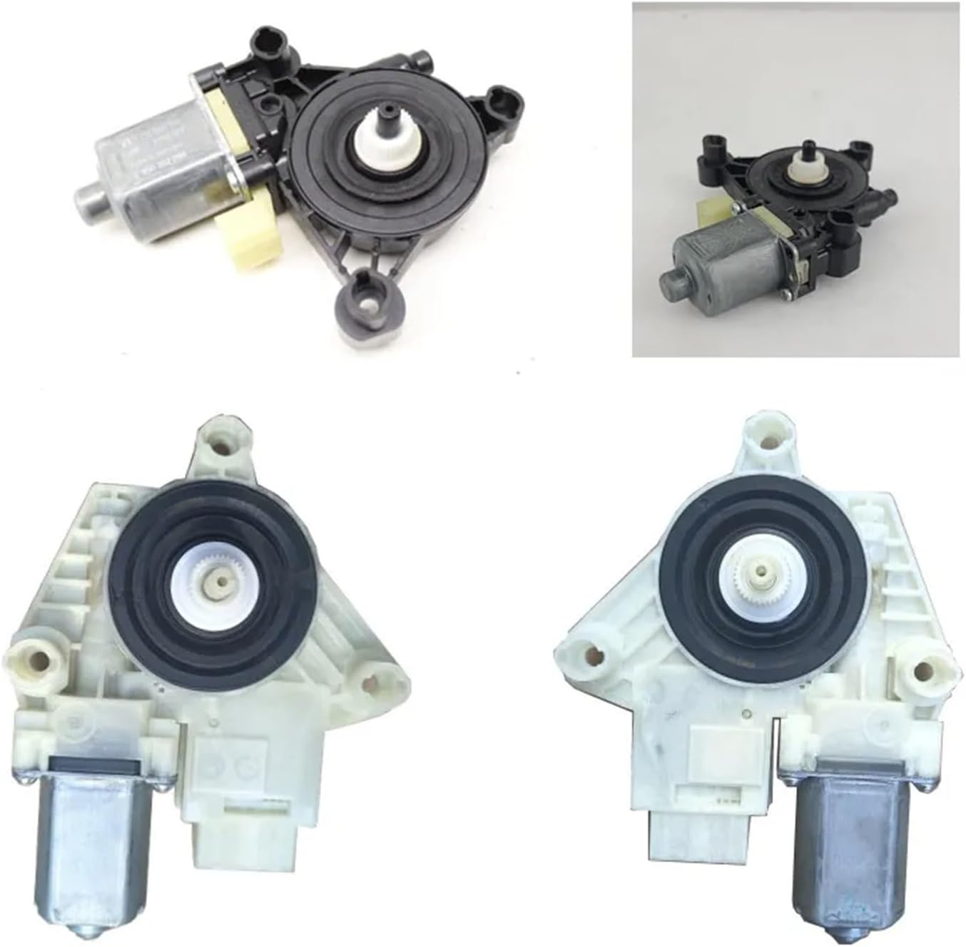 美品 掛け軸 国井道成作 名号「南無阿弥陀仏」本尊熊皮御影 親鸞聖人 太巻き付 美品 掛け軸 国井道成作 名号「南無阿弥陀仏」本尊熊皮御影 親鸞