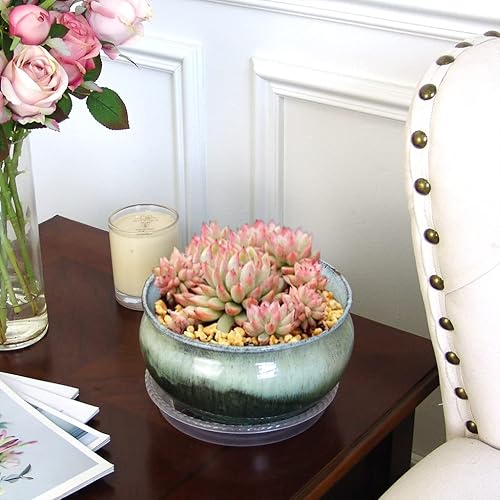 Miniatura 5 de Maceta para suculentas de 8 pulgadas con drenaje y platillo esmaltado de terracota redonda de cerámica para suculentas, cactus y bonsái, maceta