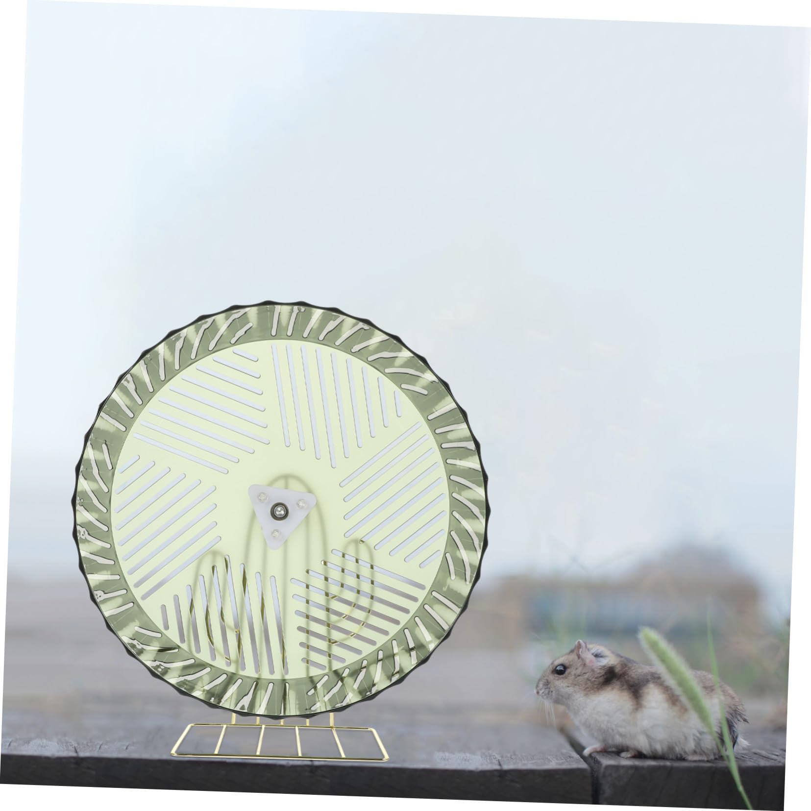 Beaupretty Rueda de Ejercicio Soporte Estable para Hámster y Chinchilla Material Plástico y Aleación, Adecuado para Jaula y Deporte de Mascotas Pequeñas