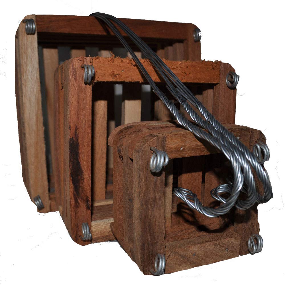 Buy Wood Slat Vanda Orchid Baskets. Cedar. Set of 3. (1 Each 46 8