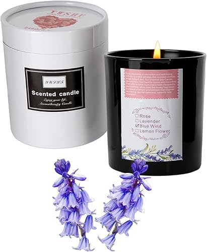 Vela perfumada de regalo de Navidad para mujeres, velas para el hogar, velas perfumadas de aromaterapia, velas de eucalipto de 8.5 onzas, para