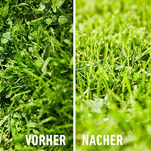 Compo Rasenunkrautvernichter Banvel® Quattro AF 1000ml – Ansicht 6