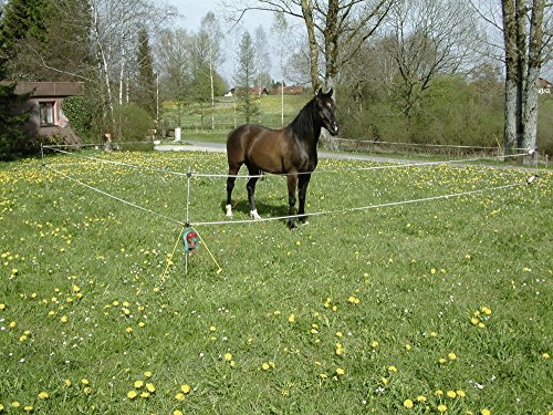 Was hilft bei kotwasser pferd