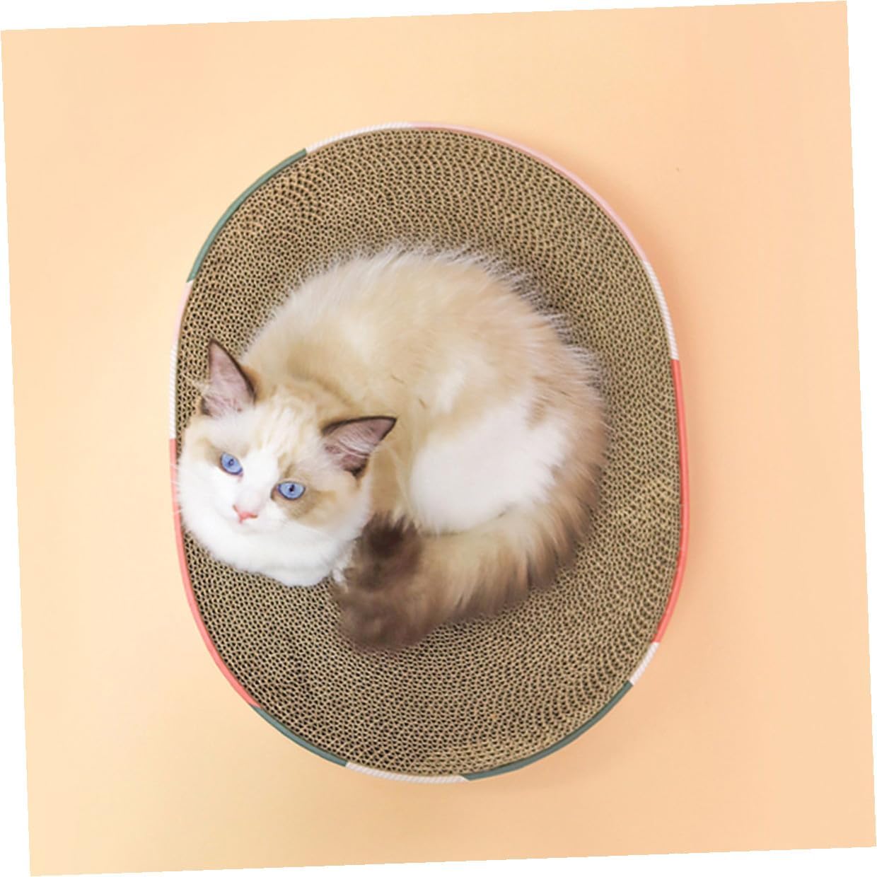 BESTonZON Cat Scratcher Pad and Lounger Corrugated Paper Sturdy Oval Shape Cat Scratching for Furniture Protector and Kitty Play Bed