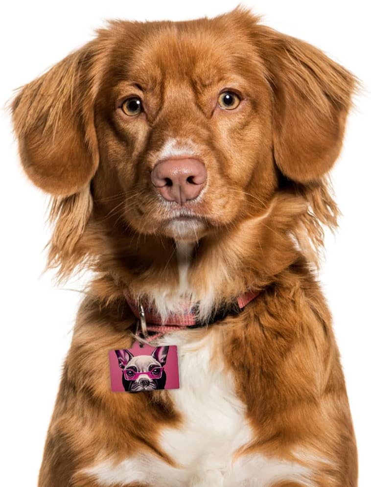 Pink Dog Pet ID Tag - Art Pet Tag - Print Pet ID Tag