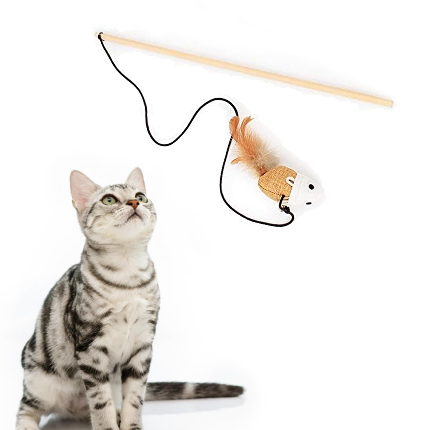 Petbabas Cat and Dog Playing Stick |Durable Dog and cat Teaser Playing Stick with Interactive Feather| Non- Slip and Non Toxic Durable Teasing Wand Toy with Rope (Multi)