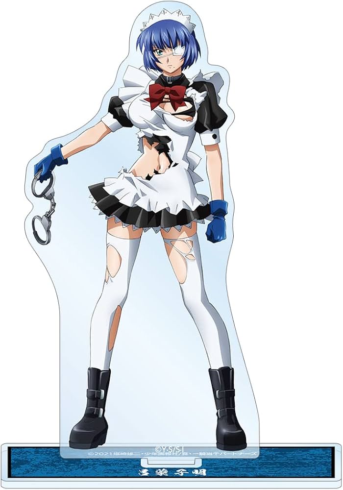 Amazon.co.jp: 真 一騎当千 呂蒙子明 BIGアクリルスタンド : ホビー