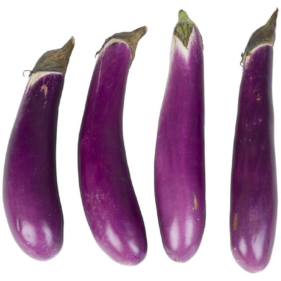 Golden Hills Farm Purple long Brinjal 500 seeds (B07NCNY8T5) Amazon Price History, Amazon Price Tracker