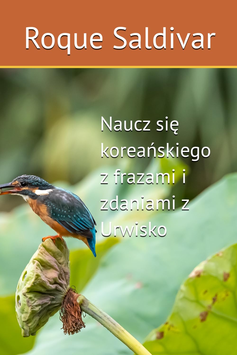 Naucz się koreańskiego z frazami i zdaniami z Urwisko