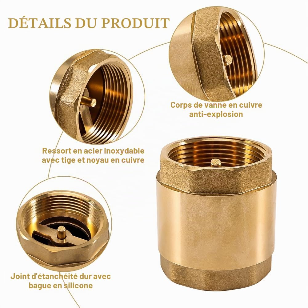 Clapet anti-retour en laiton de 2" avec filetage intérieur DN50 universel avec filetage intérieur des deux côtés, clapet anti-retour vertical en laiton de 2 pouces, clapet anti-retour d'eau