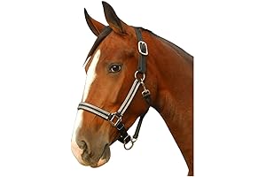 Breakaway Leather Crown Padded Halter: The Ultimate Horsemanship Companion