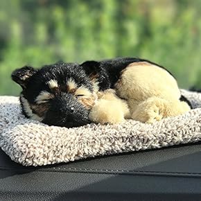 Amazon.co.jp: コレクターズアイテム - 装飾小物・アクセサリ