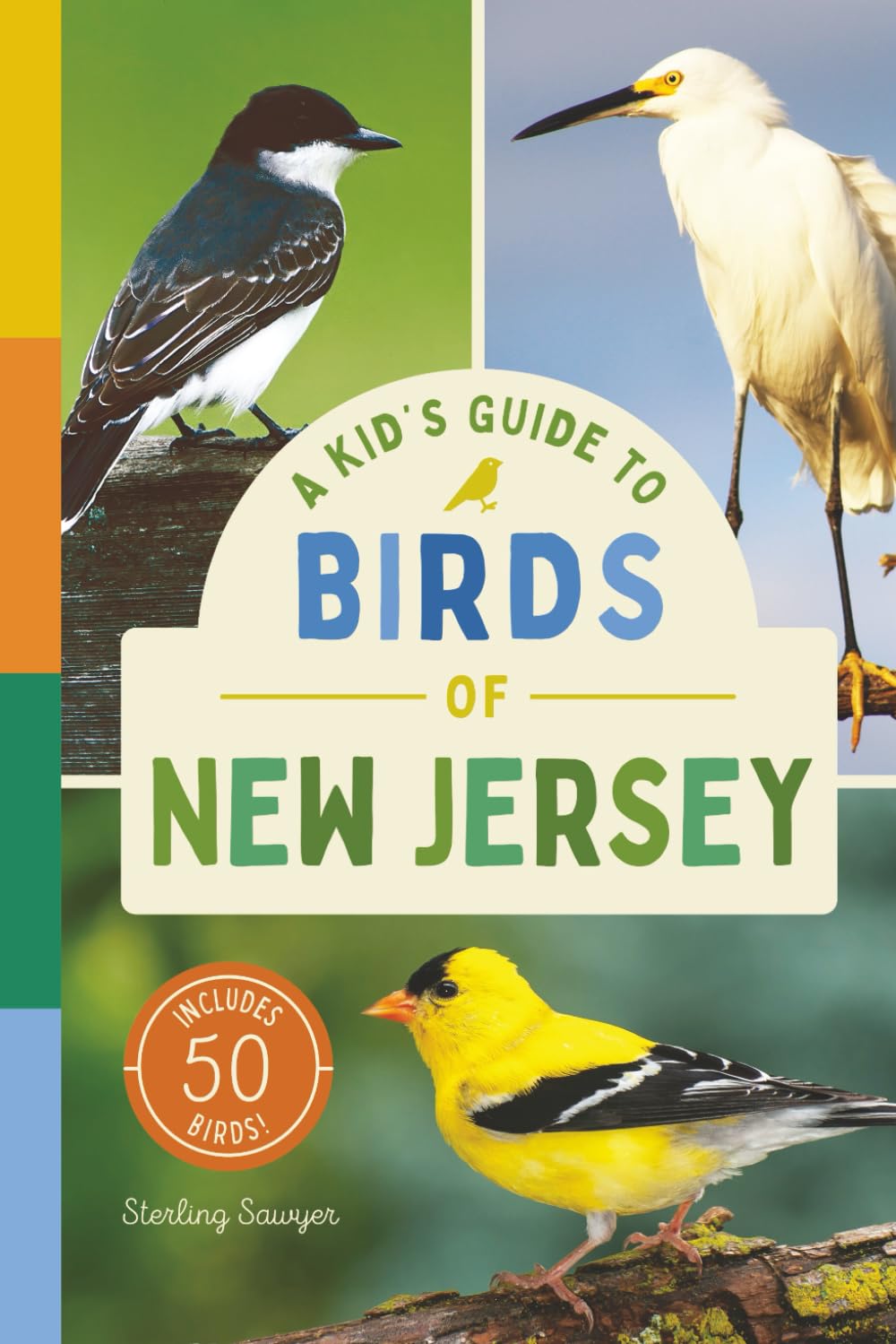 A Kid’s Guide to Birds of New Jersey: An Introduction to New Jersey Birds with Full-Color Illustrations, Glossary, Tips, and More (Book About Birds ... 6-9) (A Kid's Guide to the Natural World)