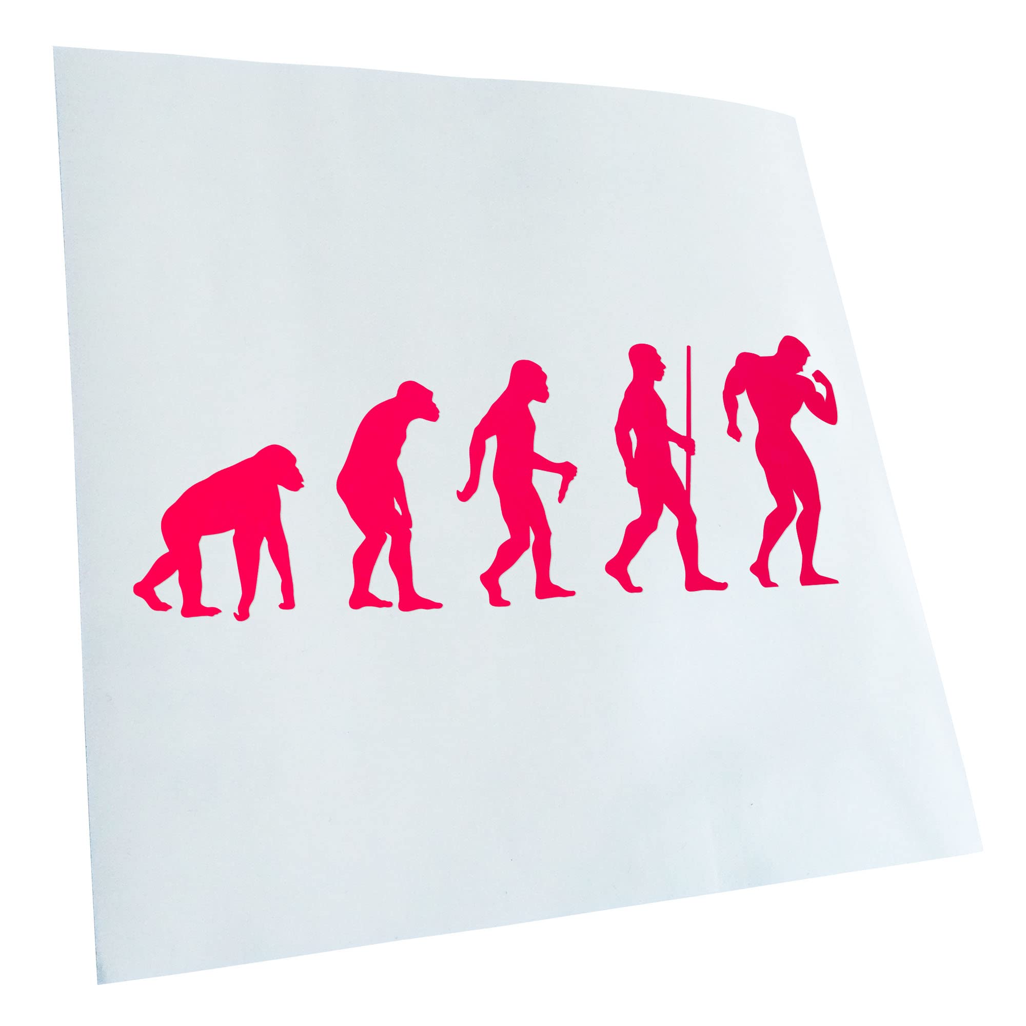 Kiwistar - Car Sticker - Bodybuilding Evolution - Neon Pink - 30 x 11 cm - Rear Window Car Sticker Weatherproof for Car Truck Moped Truck - Sticker Exterior Self-Adhesive Tuning Accessories for Window