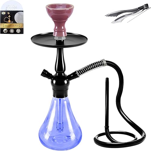 SunWamntin Juego de cachimba de cristal de alta calidad Shisha Exquisitas cachimbas 1 manguera portátilSunWamntinCachimba con todos los accesorios