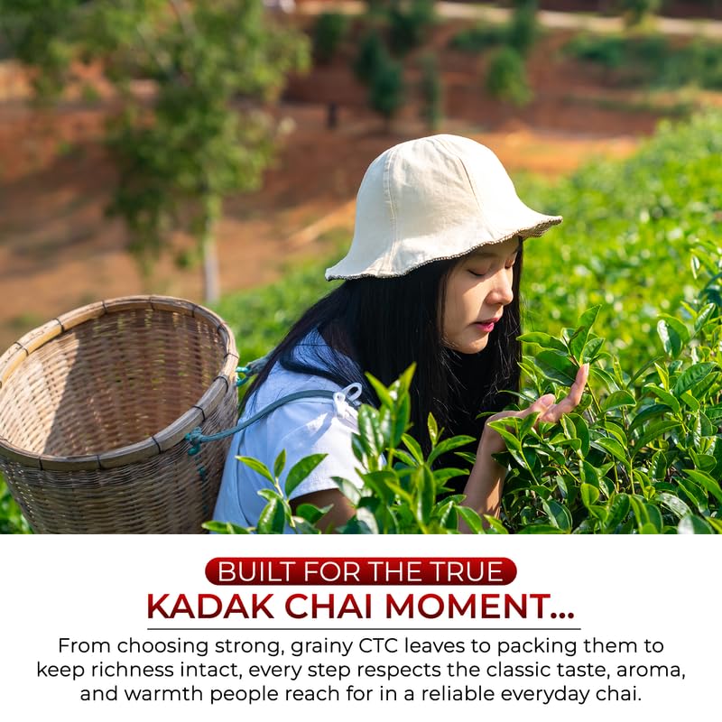 Image of Marvel Red Tea 500g, Handpicked Strong Kadak Chai From Assam & Darjeeling, Refreshing Aroma & Rich Taste - Black Tea