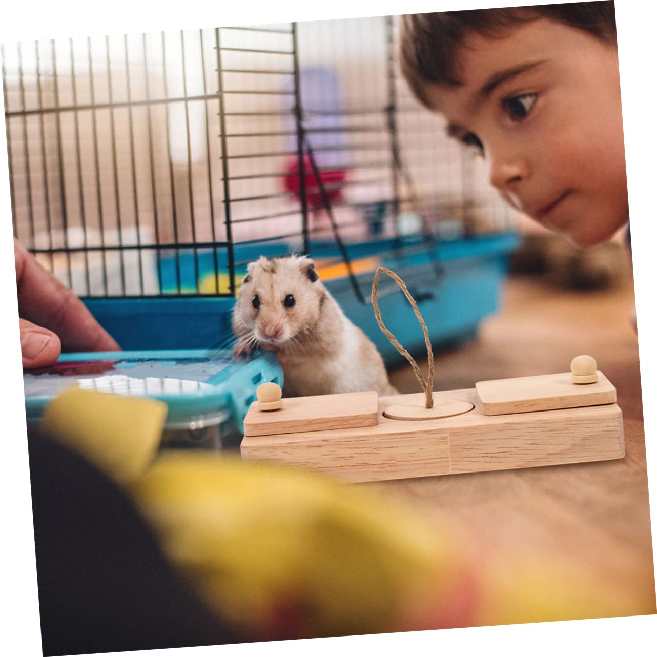 Holzspielzeug Für Hamsterfutter Und Leckerlis 2er-Set Versteckspielzeug Für Hamsterkäfig Zur Futtersuche