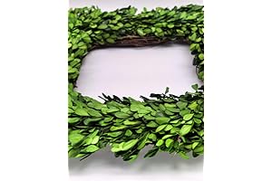 Preserved Boxwood Wreath - Greenery Front Door Decor