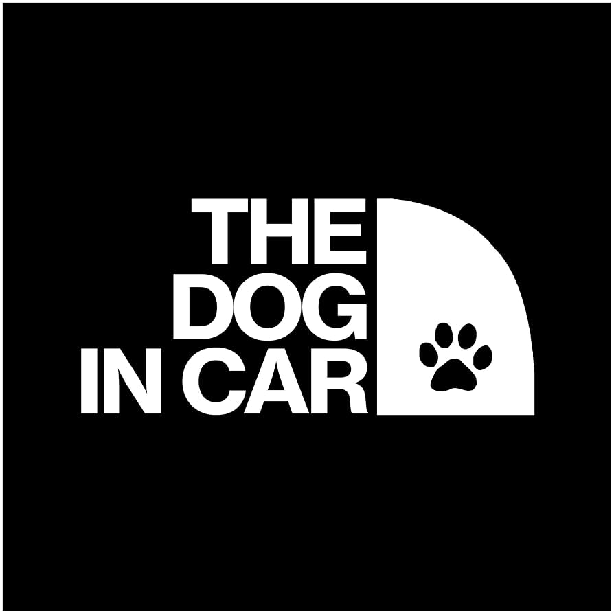ThinkingDogs出品しているもの全て(写真に乗り切ってないです) 大人気新品 ThinkingDogs出品しているもの全て(写真に乗り切って