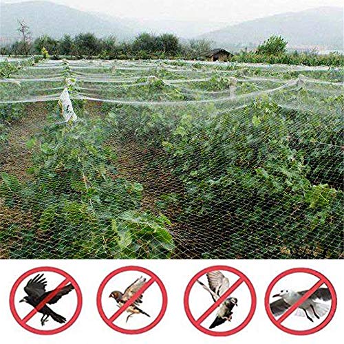 Anti Bird Protection Net,14 * 50M,Pond Netting,Reusable Protective Garden Netting for Plants Fruit Trees Against Birds,Deer,Mesh Size 2.5 * 2.5Cm
