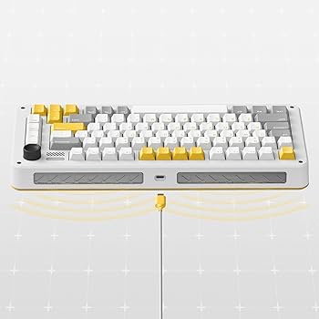 Amazon.com: iQunix ZX75 Gravity Wave 75% RGB Mechanical