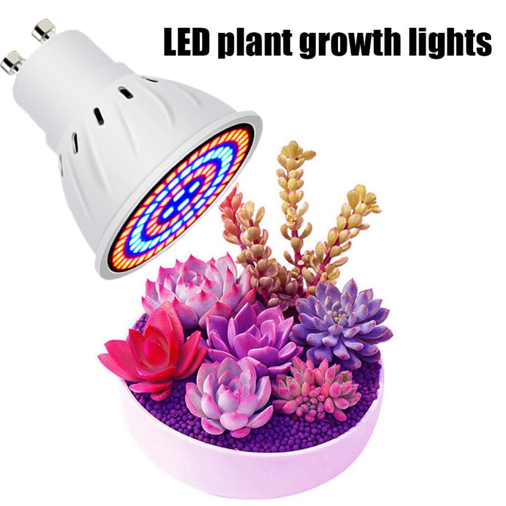 60 LED poussent l'ampoule, Gu10 croissance des plantes lampe horticole à spectre complet 220 V d'intérieur pour plantes d'intérieur jardin succulent