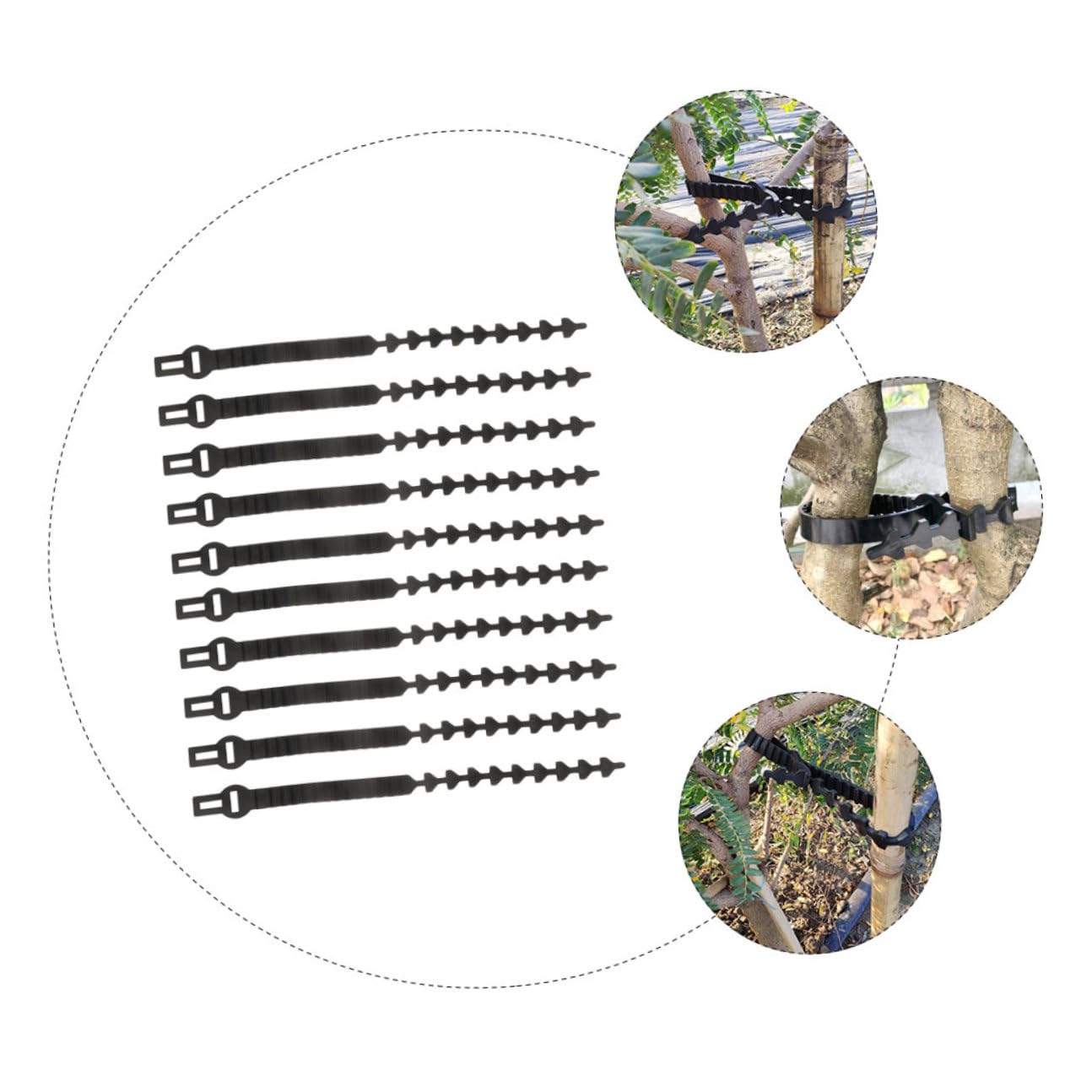 GALPADA Verstellbare Baumbefestigungsbänder Praktisch und Robust 10 Stück in Schwarz aus Flexiblem Gummi zum Binden von Bäumen und Bonsai im Garten