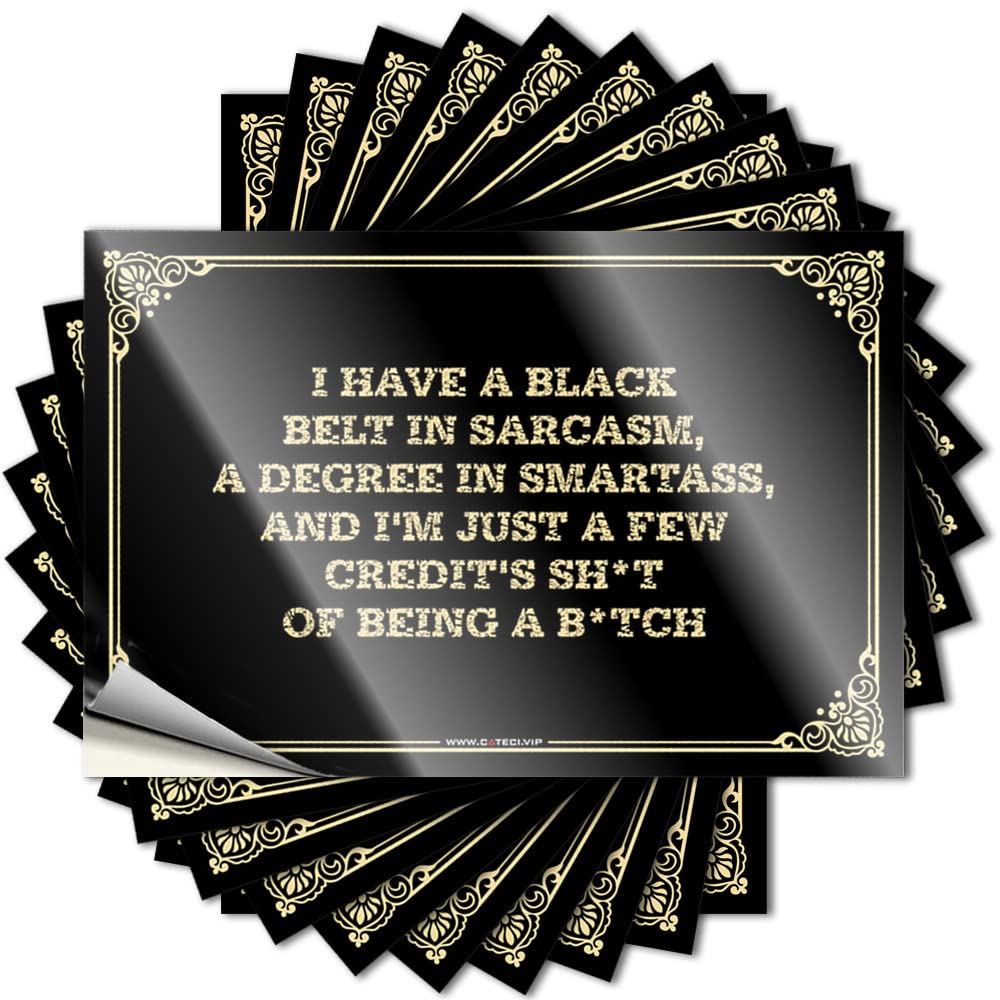 Stickers Camper Van Accessories Waterproof Vinyl Sticker | I Have A Black Belt in Sarcasm, A Degree in Smartass,and I'm Just A Few Vintage Garage for Ship DIY Projects(8X12CM)