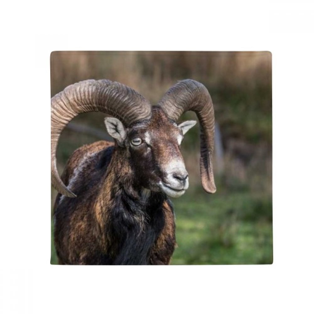 Tapis de sol mouton nature anti-dérapant 60x50cm pour salon et cuisine