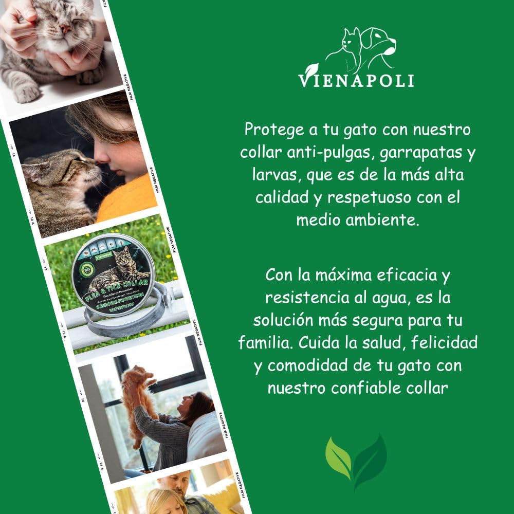 Collar antipulgas y garrapatas para Gatos, Resistente al Aqua, protección Activa de hasta 8 Meses, 33 centimetros, para qualquier tamaño de Gato