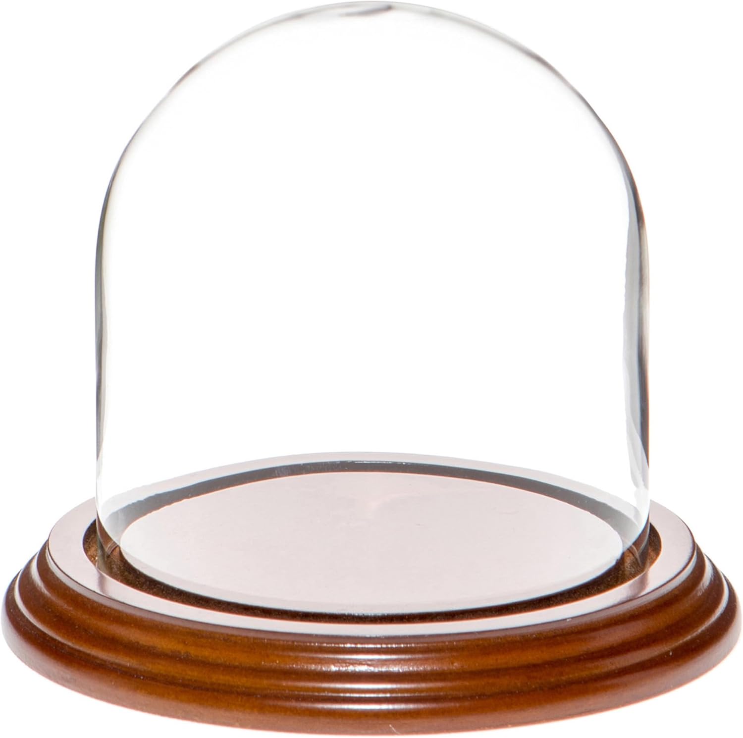Plymor 4" x 4" Glass Display Dome Cloche (Walnut Veneer Base)