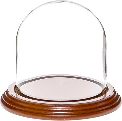 Miniatura 6 de Plymor Cúpula de cristal de 4" x 4" (base de chapa de roble)