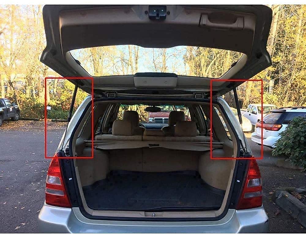 2Pcs Resortes De Gas para Maletero para 1999-2002 Odyssey OEM, Estilo Coche Nuevo Puntales Arranque Puerta Trasera, Amortiguador Muelle NeumáTico Barra
