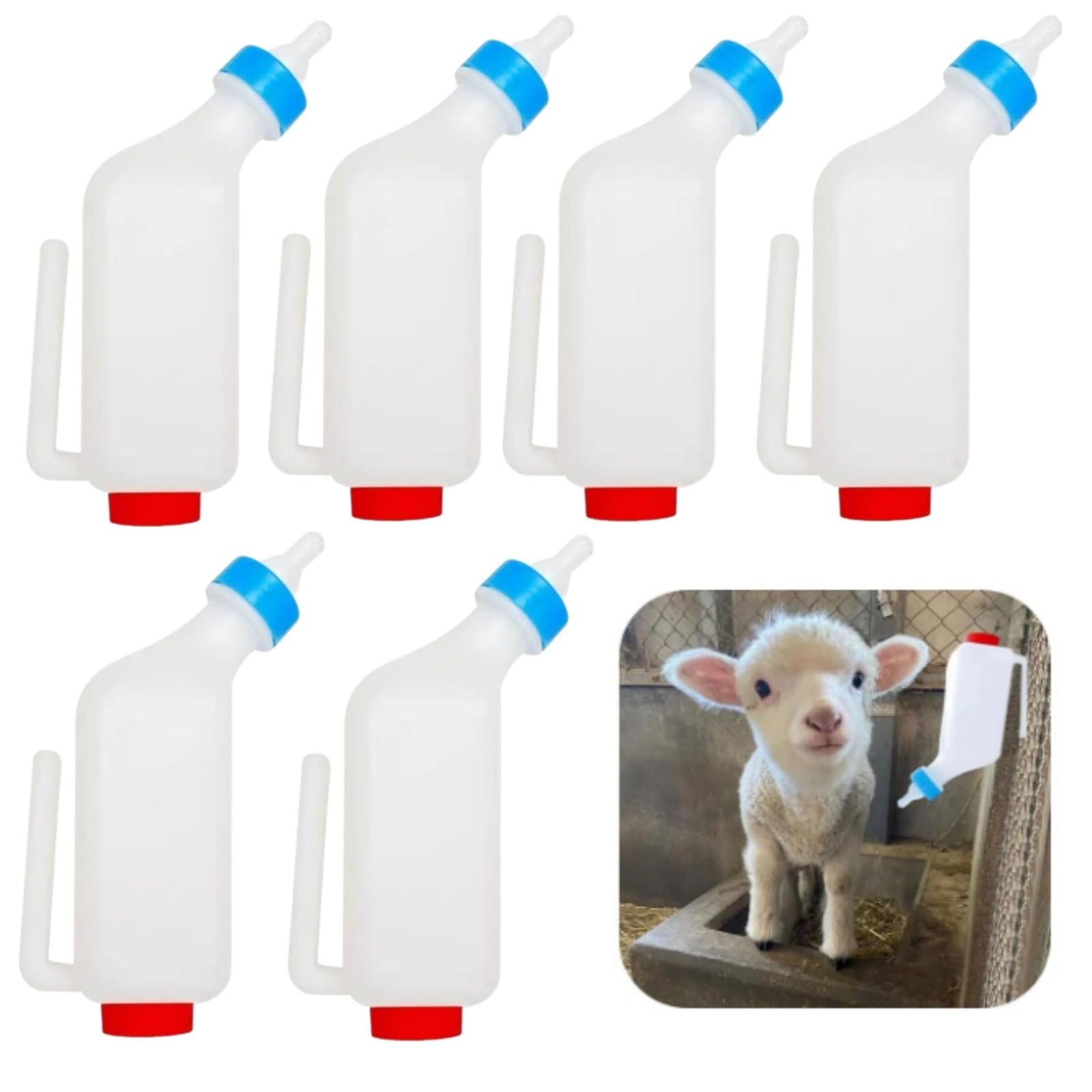6 Pack Biberon Agneau, Biberon Chevreaux Allaitement pour Agneaux & Bébé Chèvre - Seau à Lait en Bouteille d'agneau, Bouteille de Chèvre, Bouteille de Boisson Suspendue