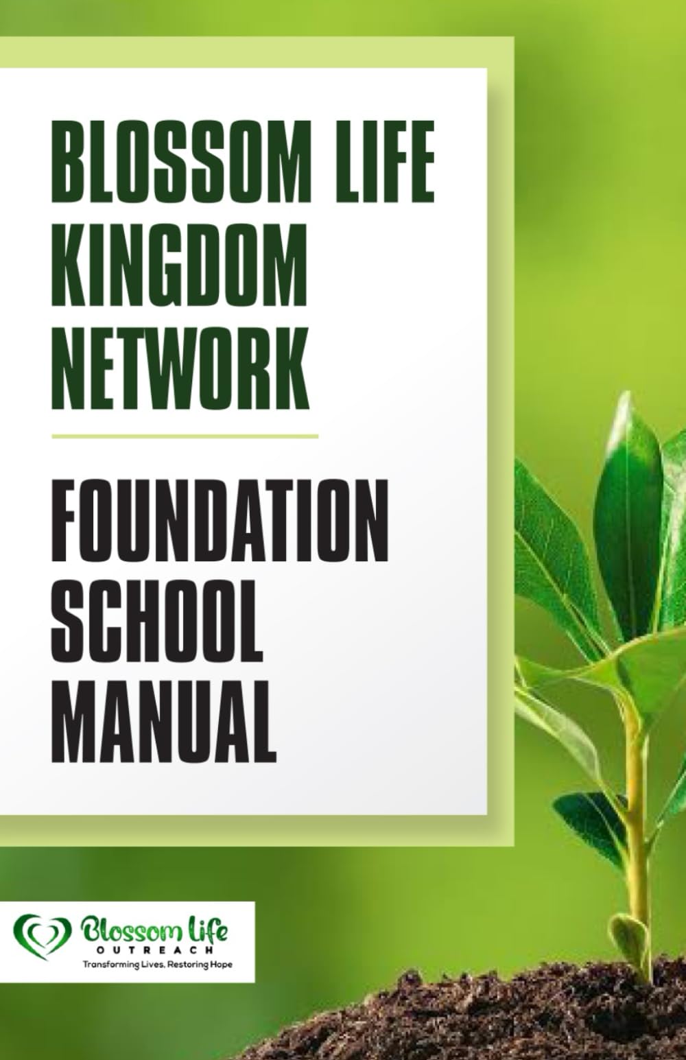 Foundation School Manual: Building Strong Foundations for New and Growing Believers (Kingdom Discipleship Series)