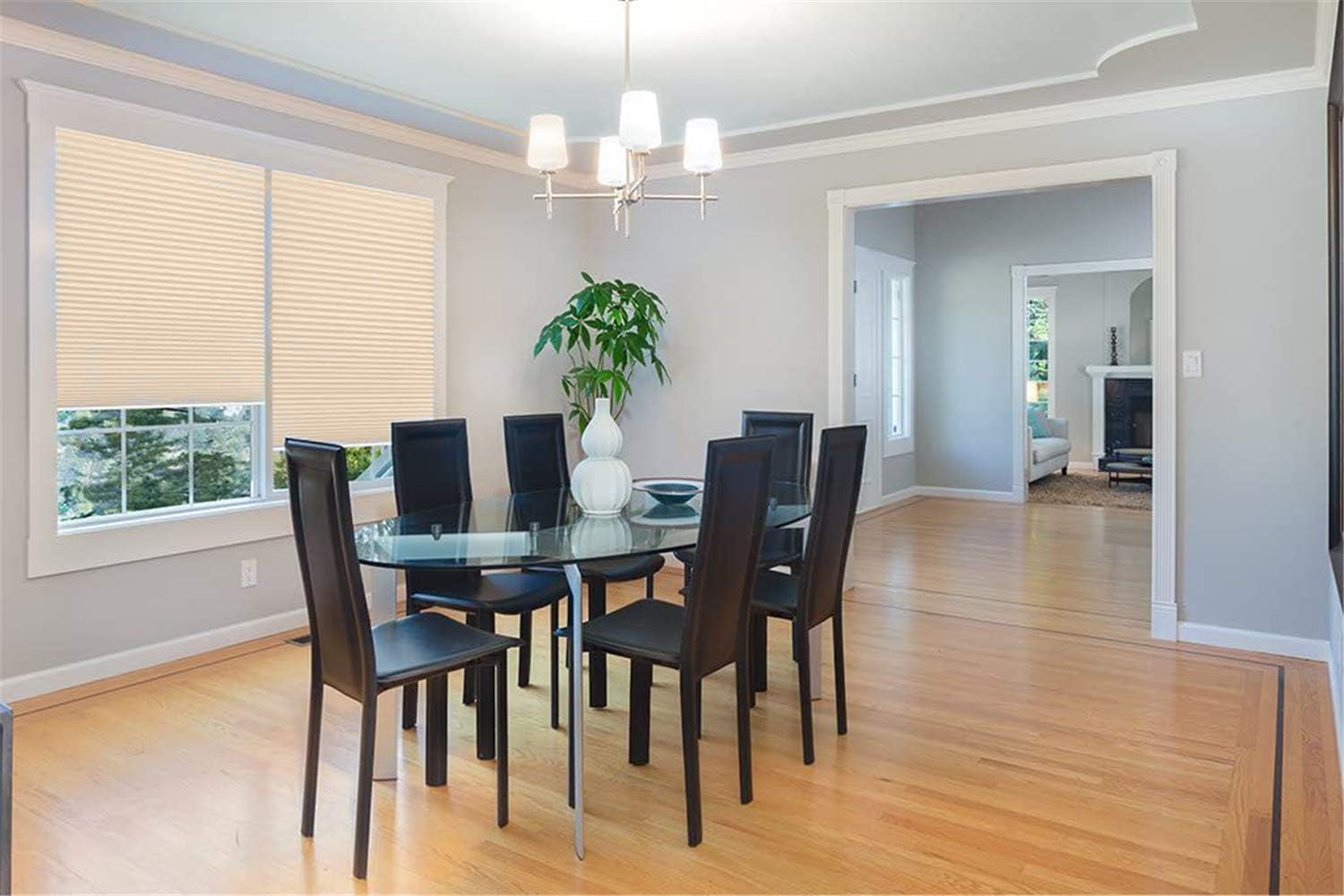 XKMT Day/Night Cellular Window Darkening Cordless Cellular