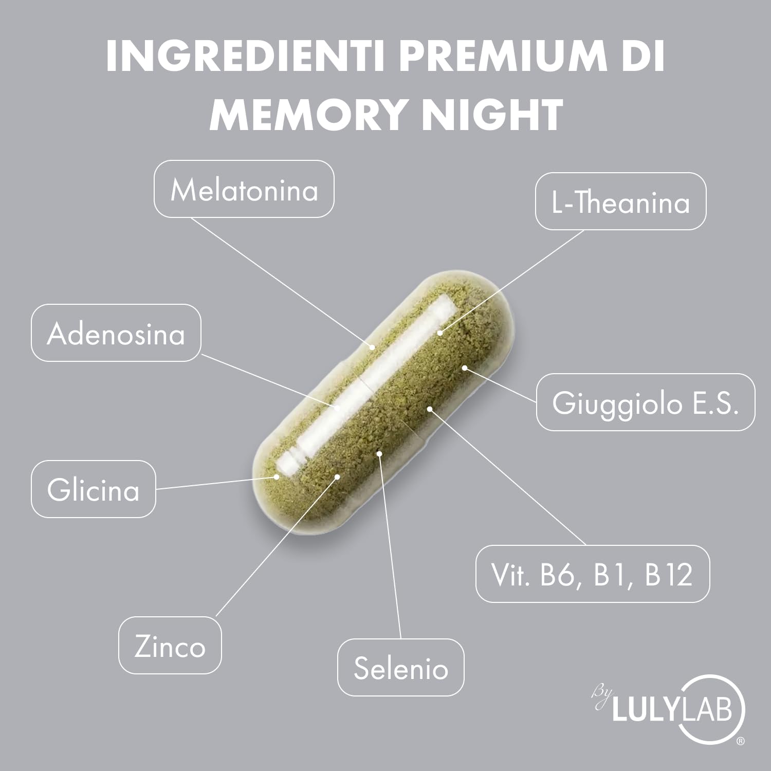 MEMORY NIGHT Integratore Memoria e Sonno Profondo, 30 Capsule con Melatonina 1Mg, Zinco, Vitamine B, Teanina e Giuggiolo, Supporto Cognitivo, Riposo Notturno e Benessere del Sistema Nervoso