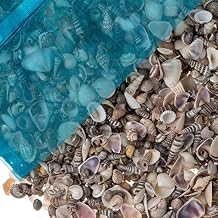 Tiny Miniature Fairy Garden Sea Shell Assorted Mix | Tiny Small Sea Shells for Craft and Decoration | Plus Free Nautical Ebook by Joseph Rains 7.5 Ounces, 750+