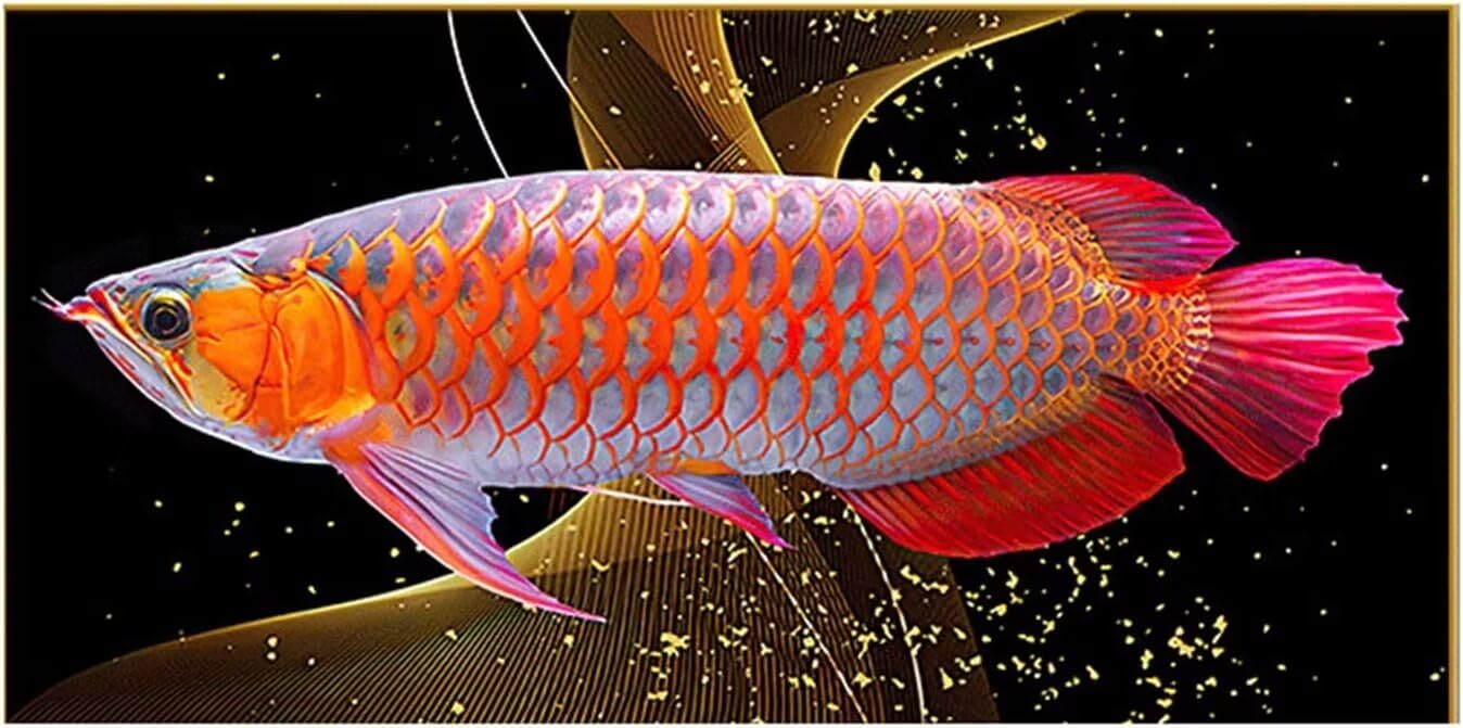 Jaxiaco Duża ryba koi, diamentowy sztuka, 100 x 223 cm, DIY, zestawy do malowania diamentami 5D dla dorosłych i dzieci, pełne okrągłe wiertło, haftowanie obrazkami, malowanie według numerów, na
